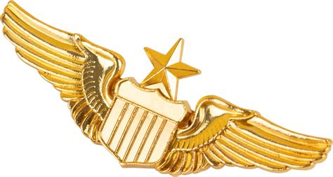 ‎Aviator: Pin.